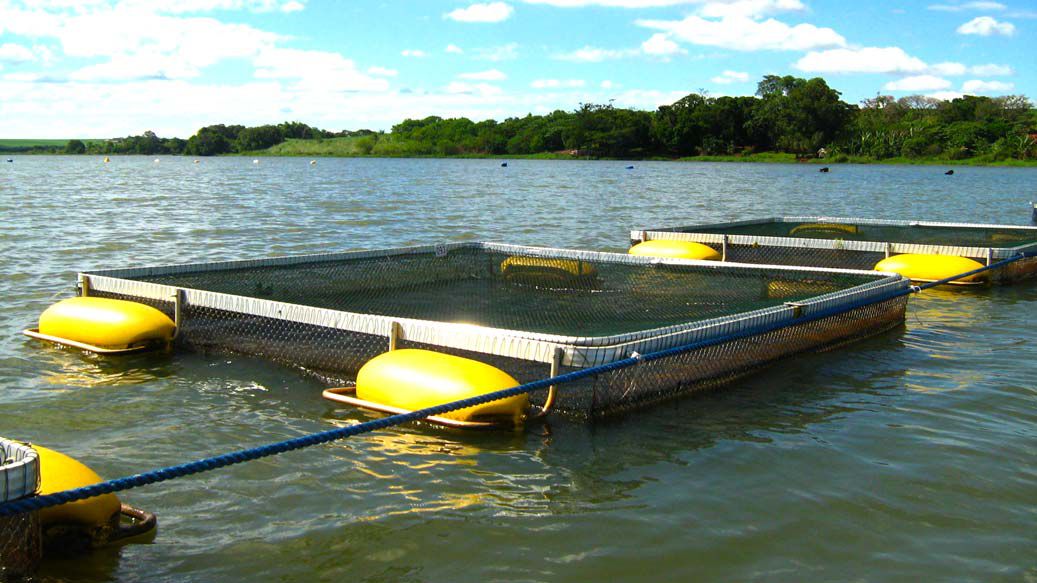 tanque-rede-3x3 jaula-Iarema