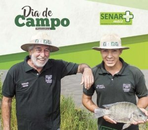 dia-de-campo