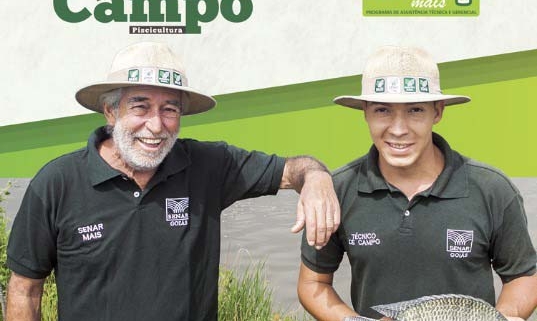 dia-de-campo